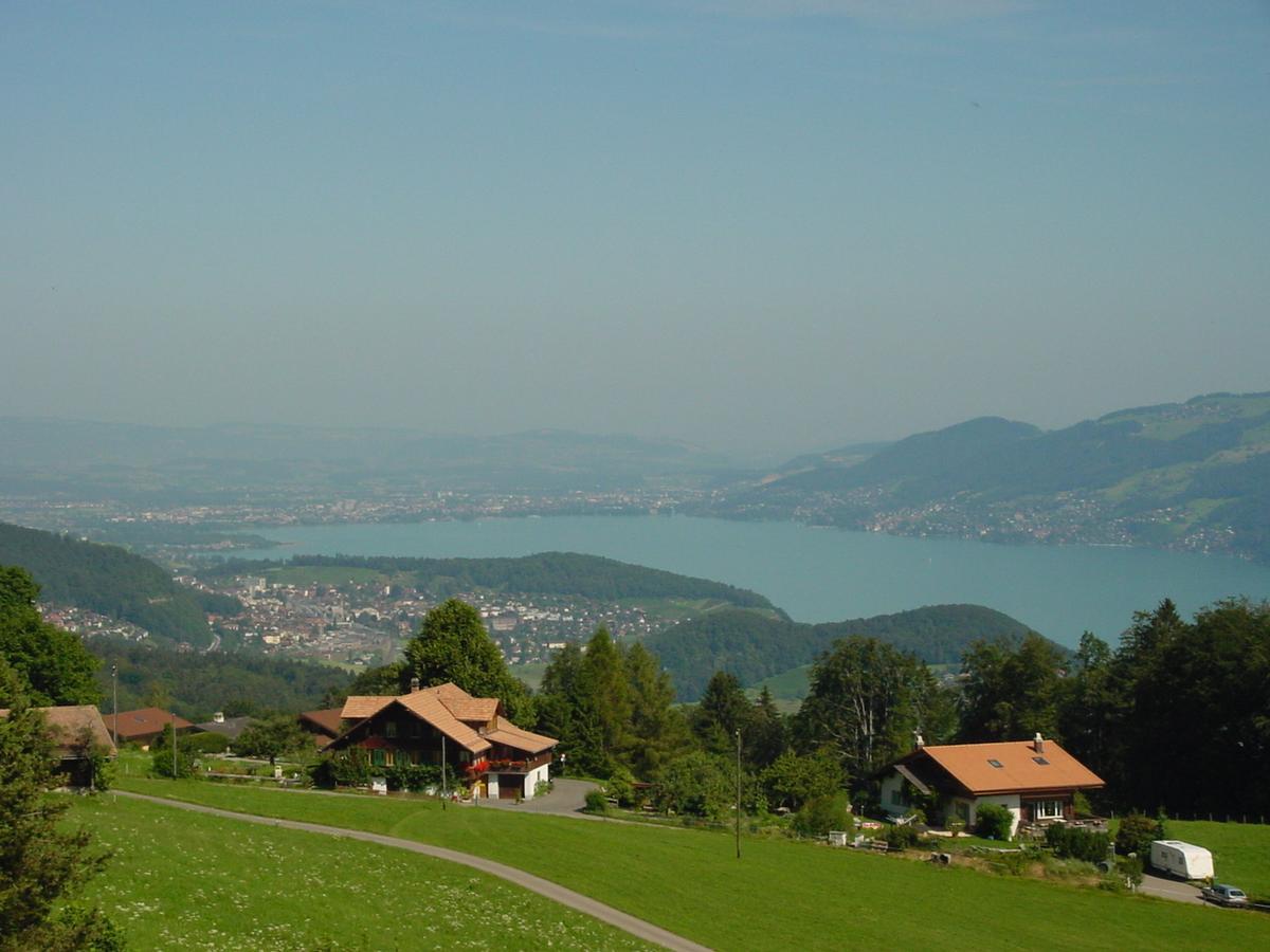 Chemihuette Hotel Aeschi Bei Spiez ภายนอก รูปภาพ